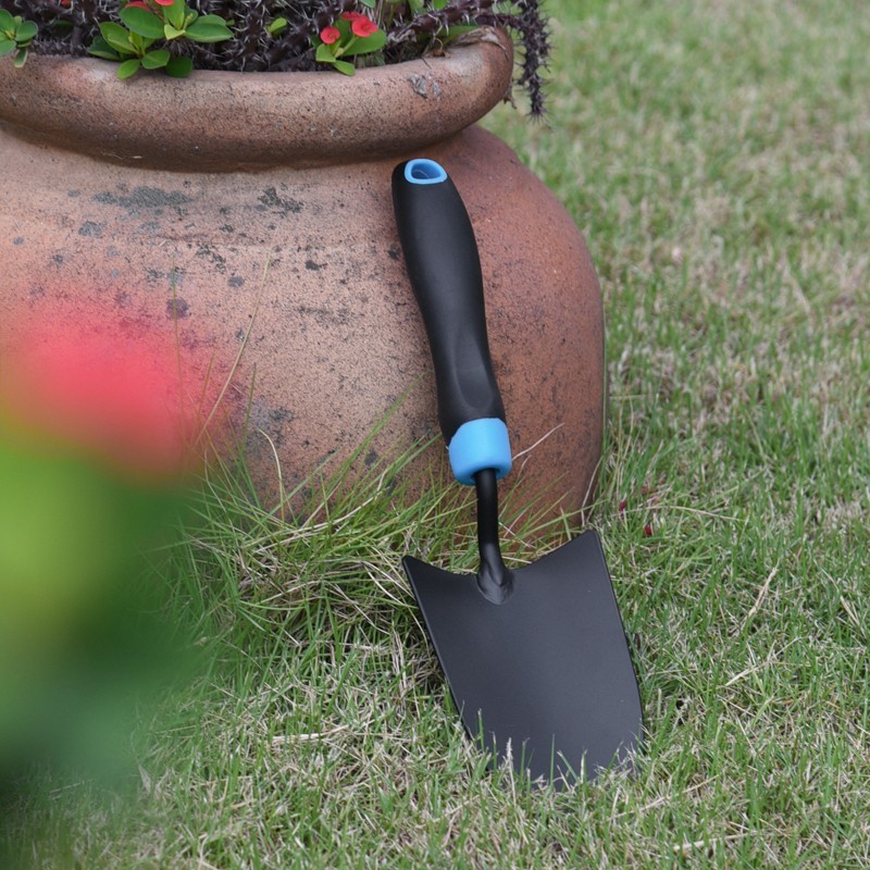 beautiful color beautiful color