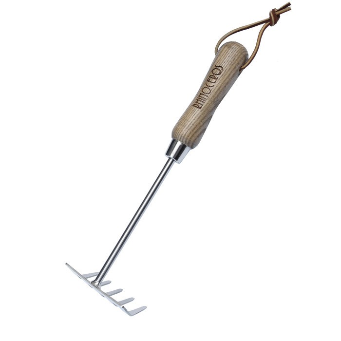 4 מגרפת שיניים