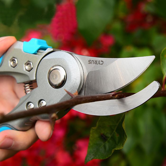 Hand pruner