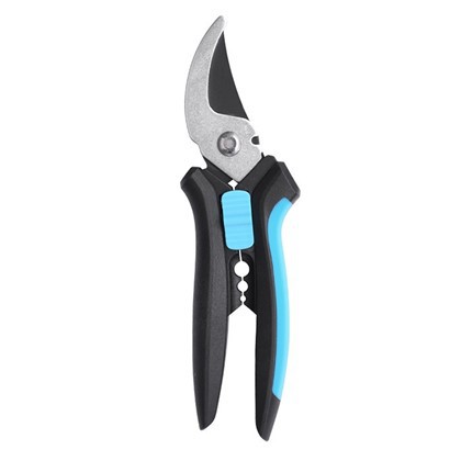 גזעי עוקף ביד