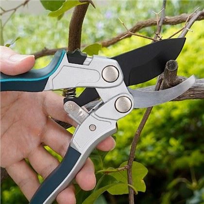 בחירת הגוזמים המושלמים לעצי התפוח שלך: מדריך לגנן