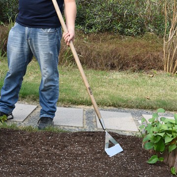 היתרונות של הקמת גינת ירק