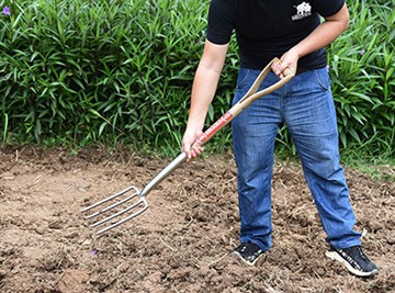 הקדמה קצרה של תרבות הגן הרוסי