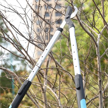 גיזום וגיזום: טיפול בגן המשפחתי שלי