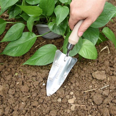 יומן נטיעת גינה -1