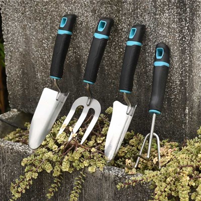 יומן נטיעת גינה -2