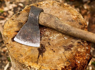 כלים לחיתוך עצים וציוד בטיחות