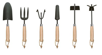 נטיעת עגבניות בבית