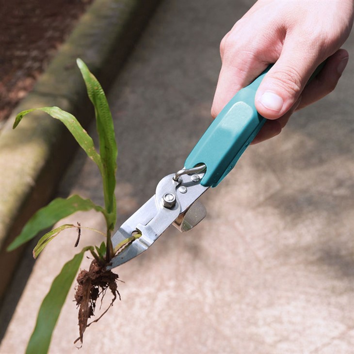 Stainless Hand Weeder