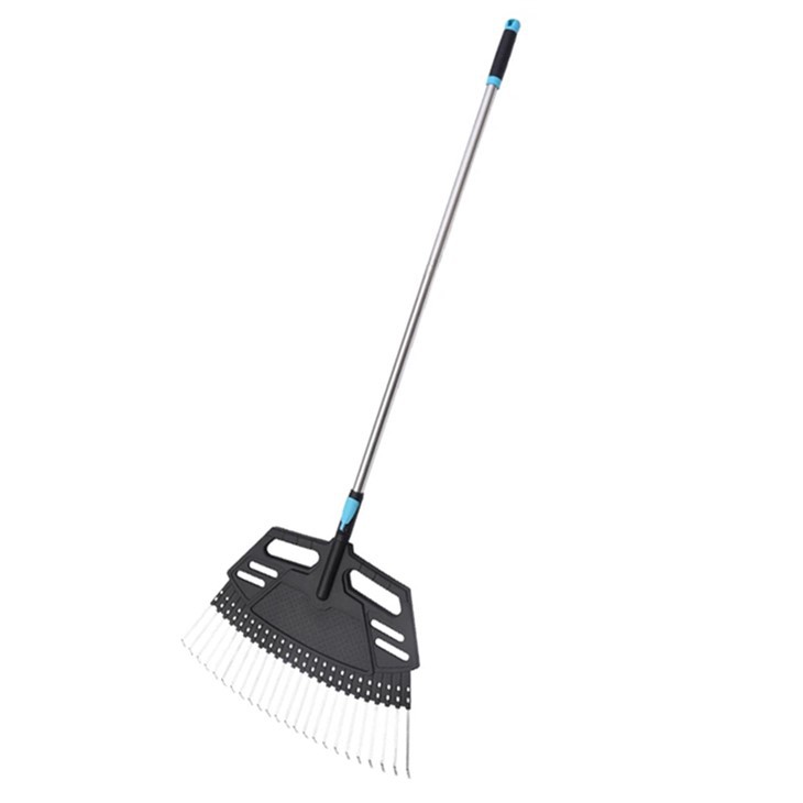 מגרפת עלה גדול