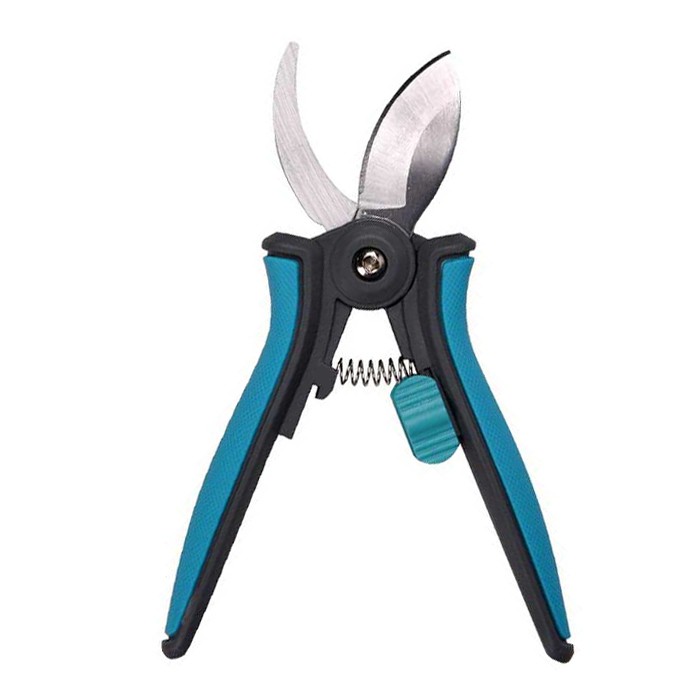 גוזם צמחי בית