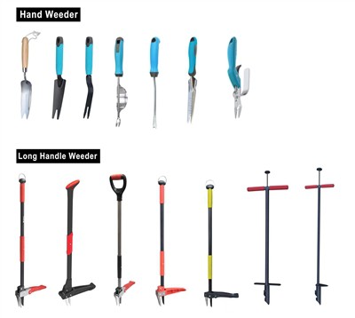 טיפוח ירוק: אימוץ קיימות בגינה שלך