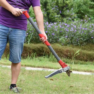 כיצד להסיר עשבים שוטים מבלי להתכופף?