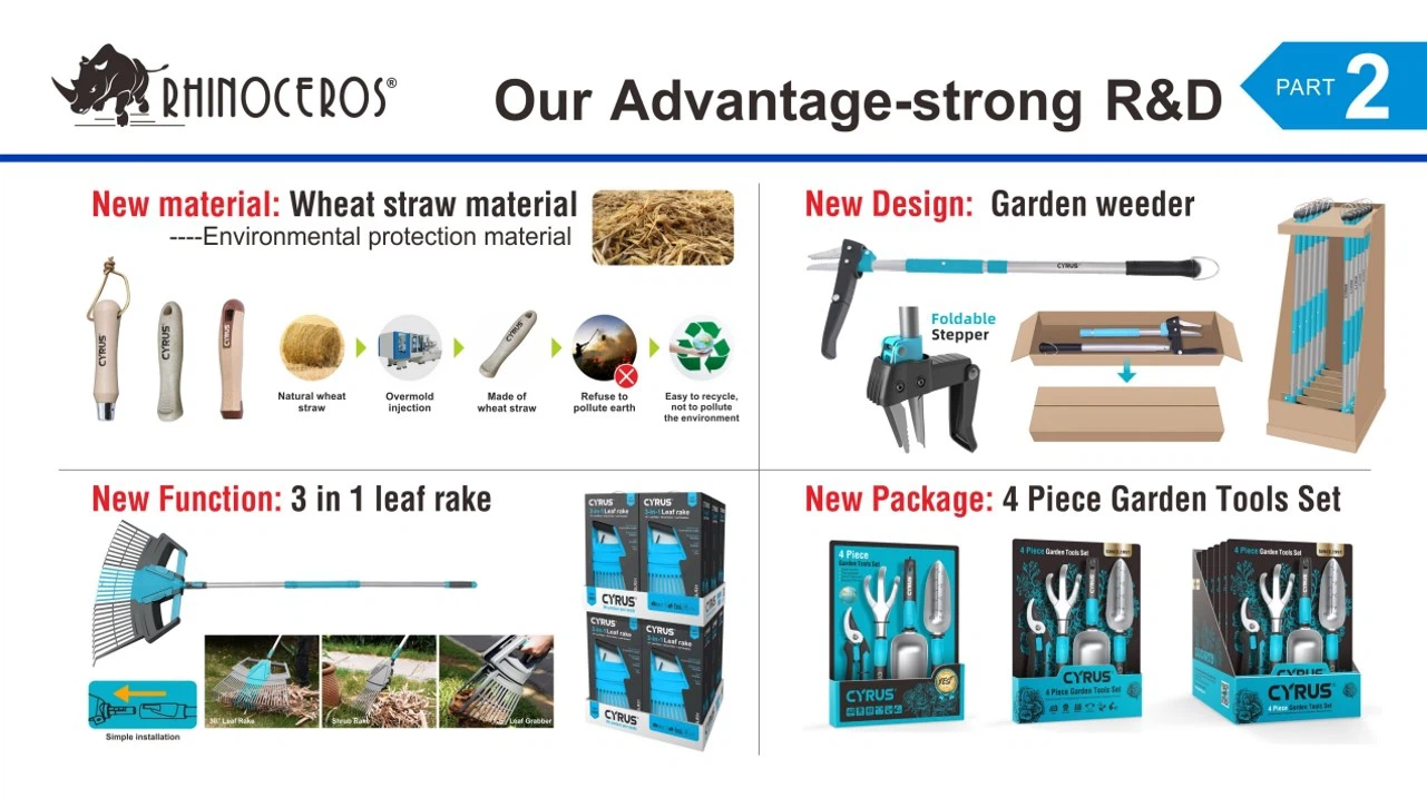 R&D R&D