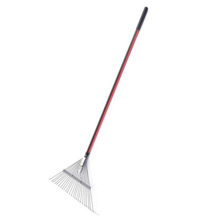 מגרפת דשא ועלים