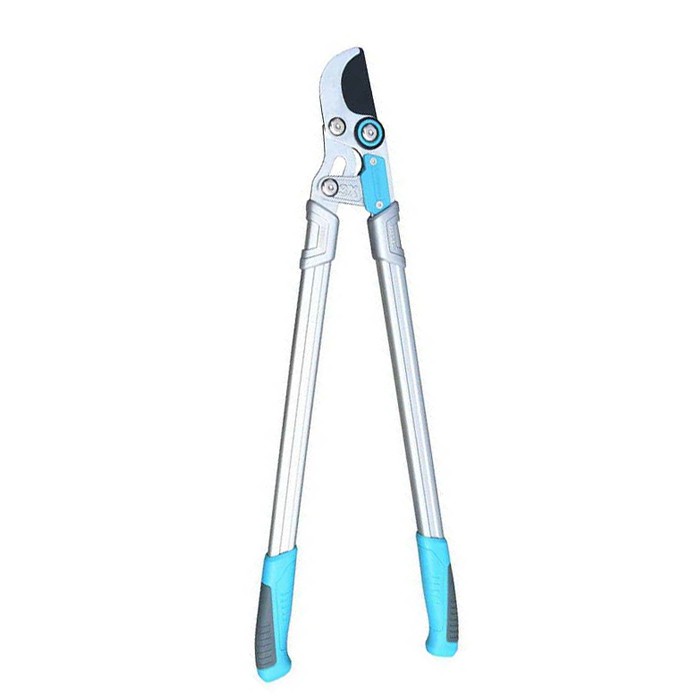 גזז גזז גזיות