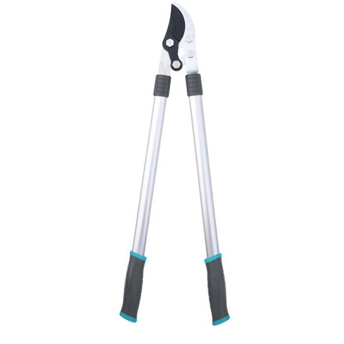 לופרס גן Ratchet