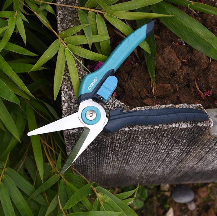 Straight Pruning Shears